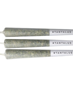 Tantalus Labs : PACIFIC OG MAX INFUSED PRE-ROLLS