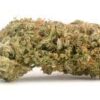 Whistler Cannabis Co. : CBD SHARK