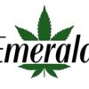 Emerald - Thc Indica Vape Cartridge
