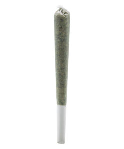 Simply Bare : Rosin Infused Pre-Rolls