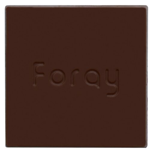 Foray : SALTED CARAMEL CHOCOLATE SQUARE